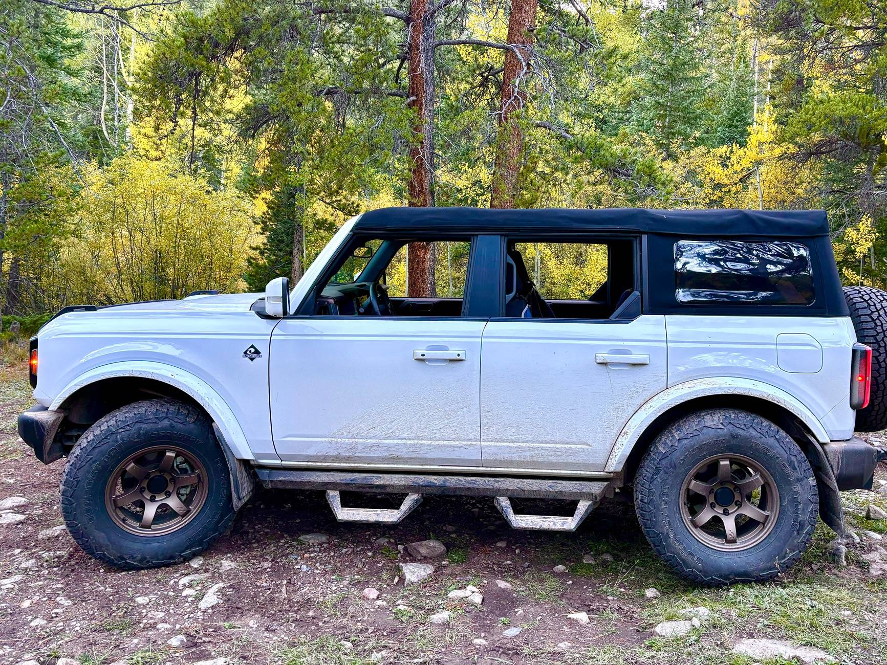 Ford Bronco Bronze wheels for white BD IMG_1163