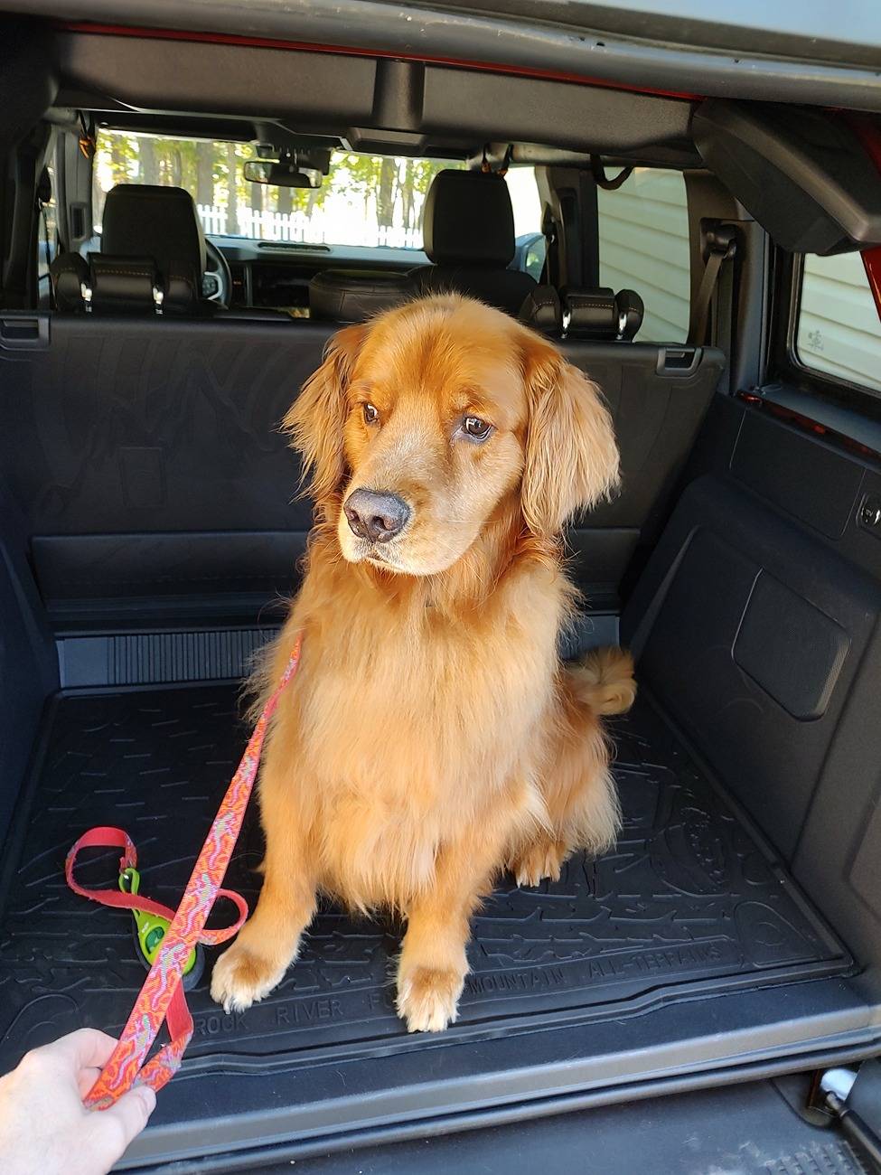 Ford Bronco Pets With US! IMG_20241020_140919294_BURST000_COVER