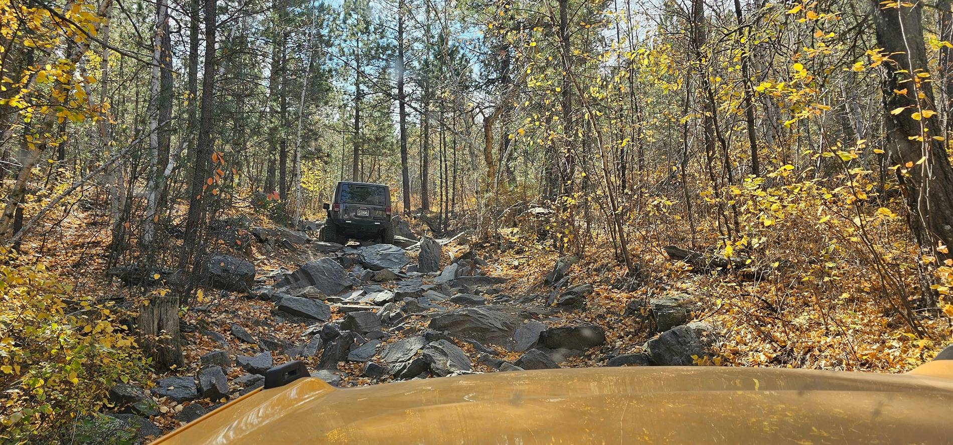 Ford Bronco Badlands Sasquatch - What's the setup to USE 37's? 1729540409181-nf