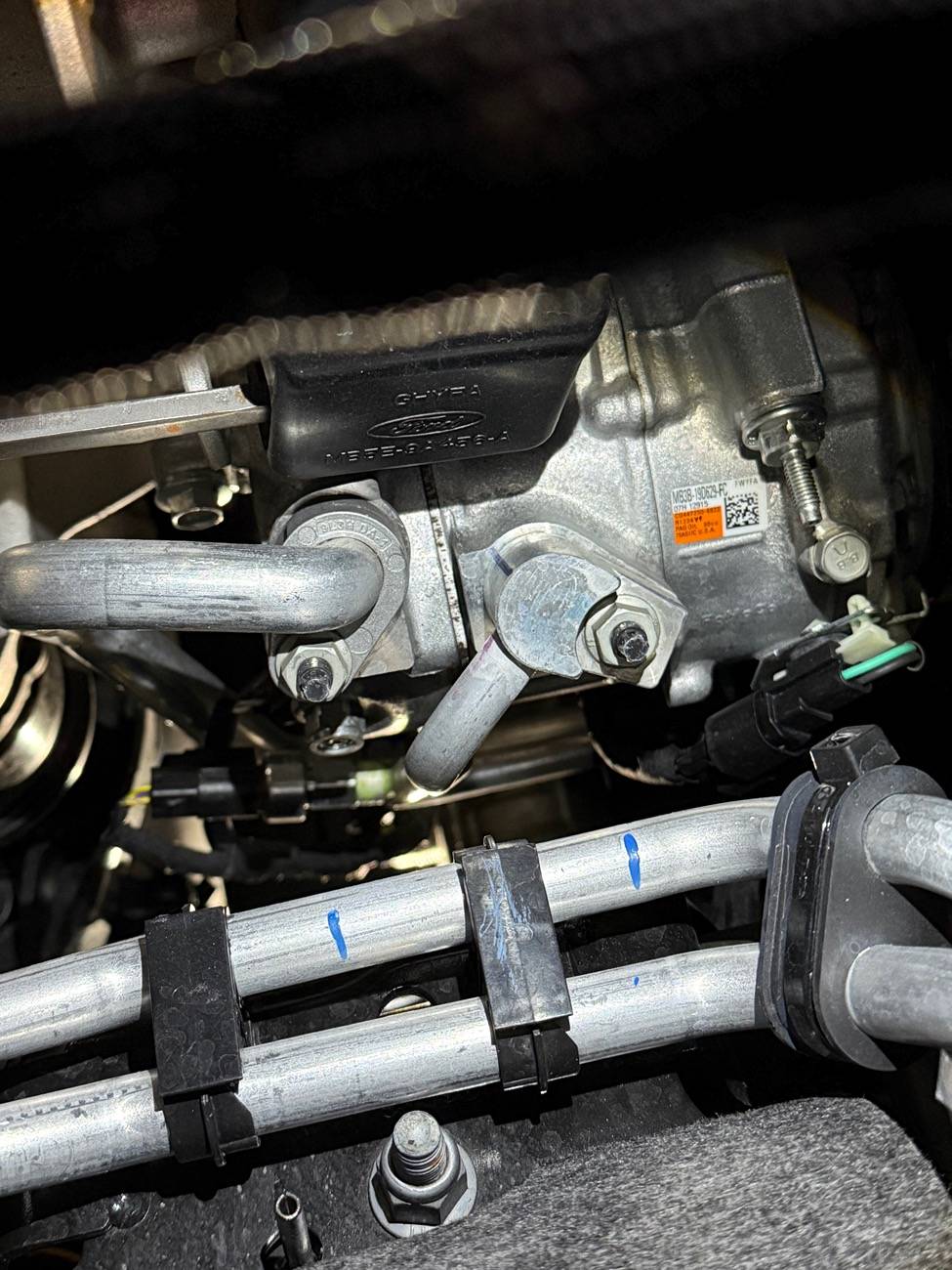 Ford Bronco AC clutch cycling switch leak IMG_6432