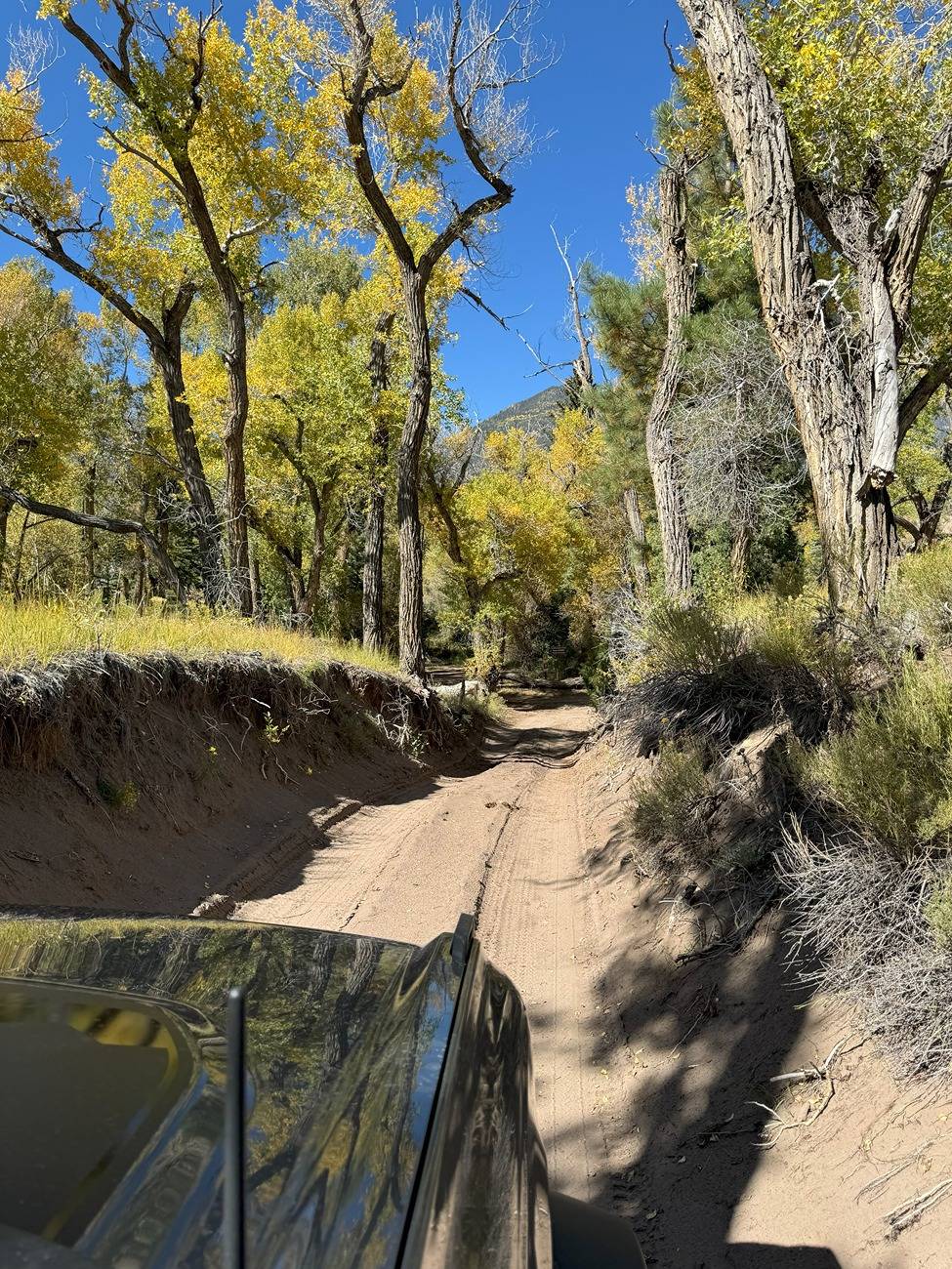 Ford Bronco Kicked off 3wk/5800mi Bronco trek with the Moab Off-Roadeo!  UT, NV, CA, CO 2024-09-24_14-52-19_851