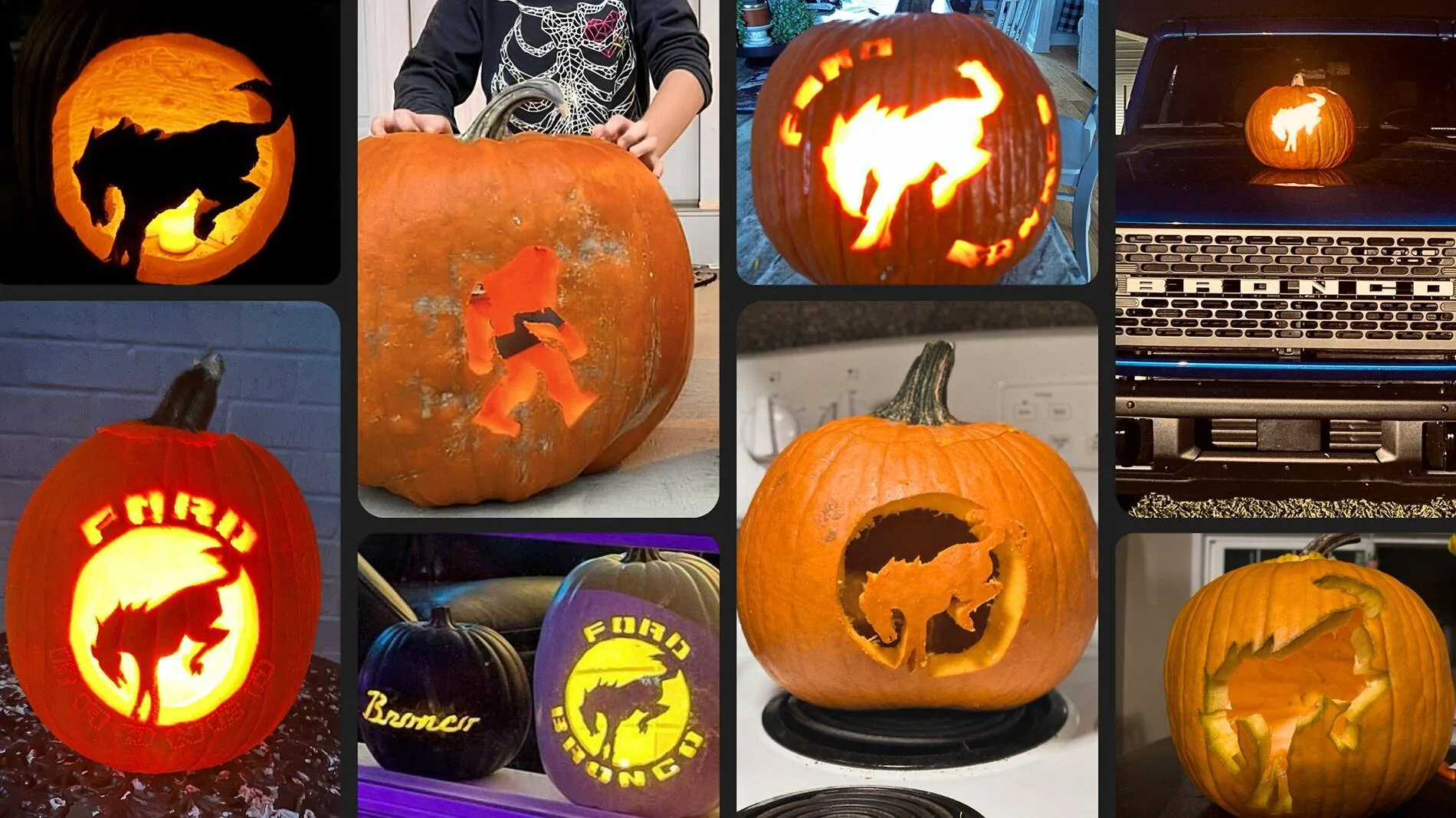 bronco pumpkins.webp