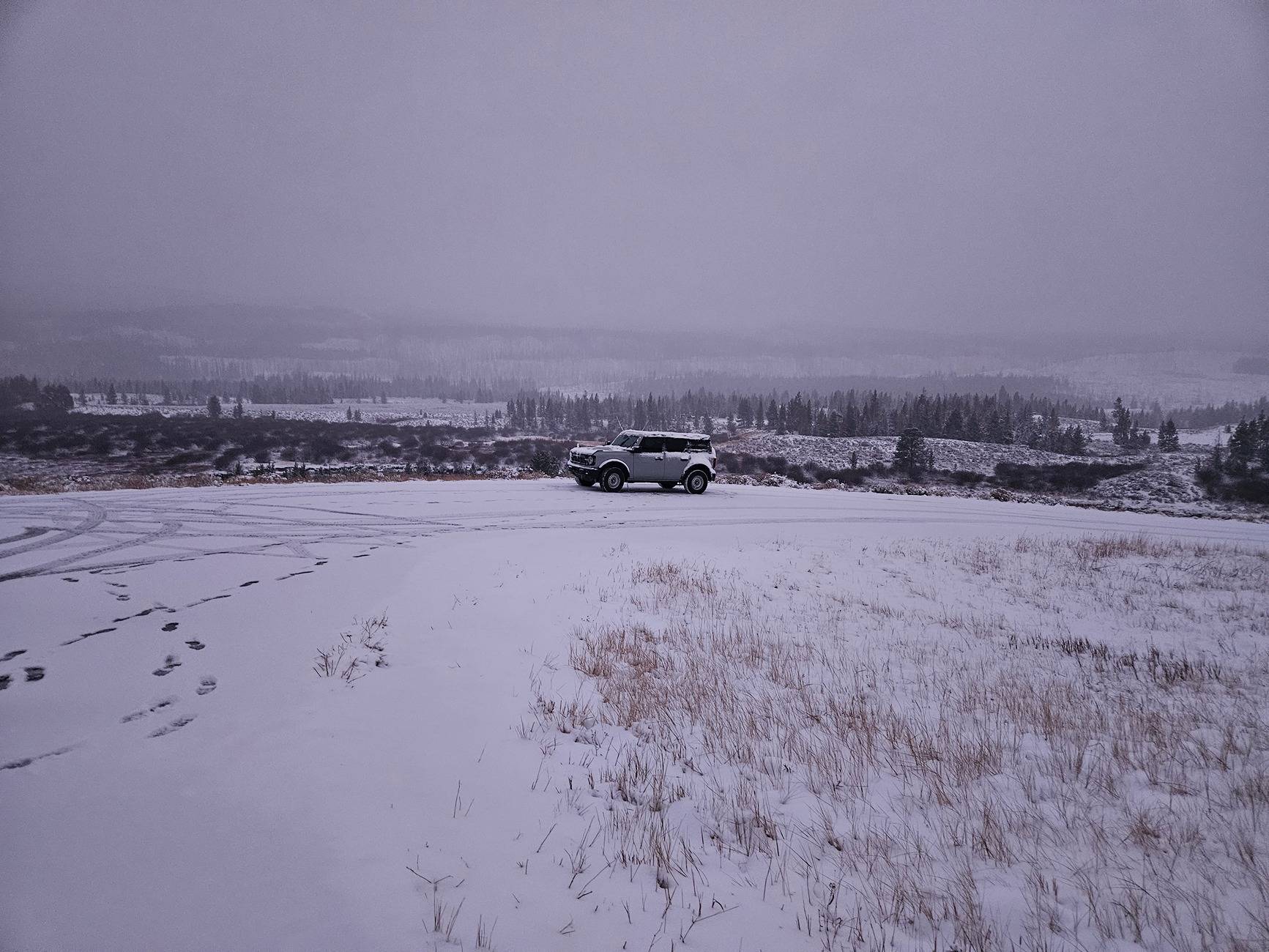 Ford Bronco Out in Nature Pictures with your Bronco 20241029_183621