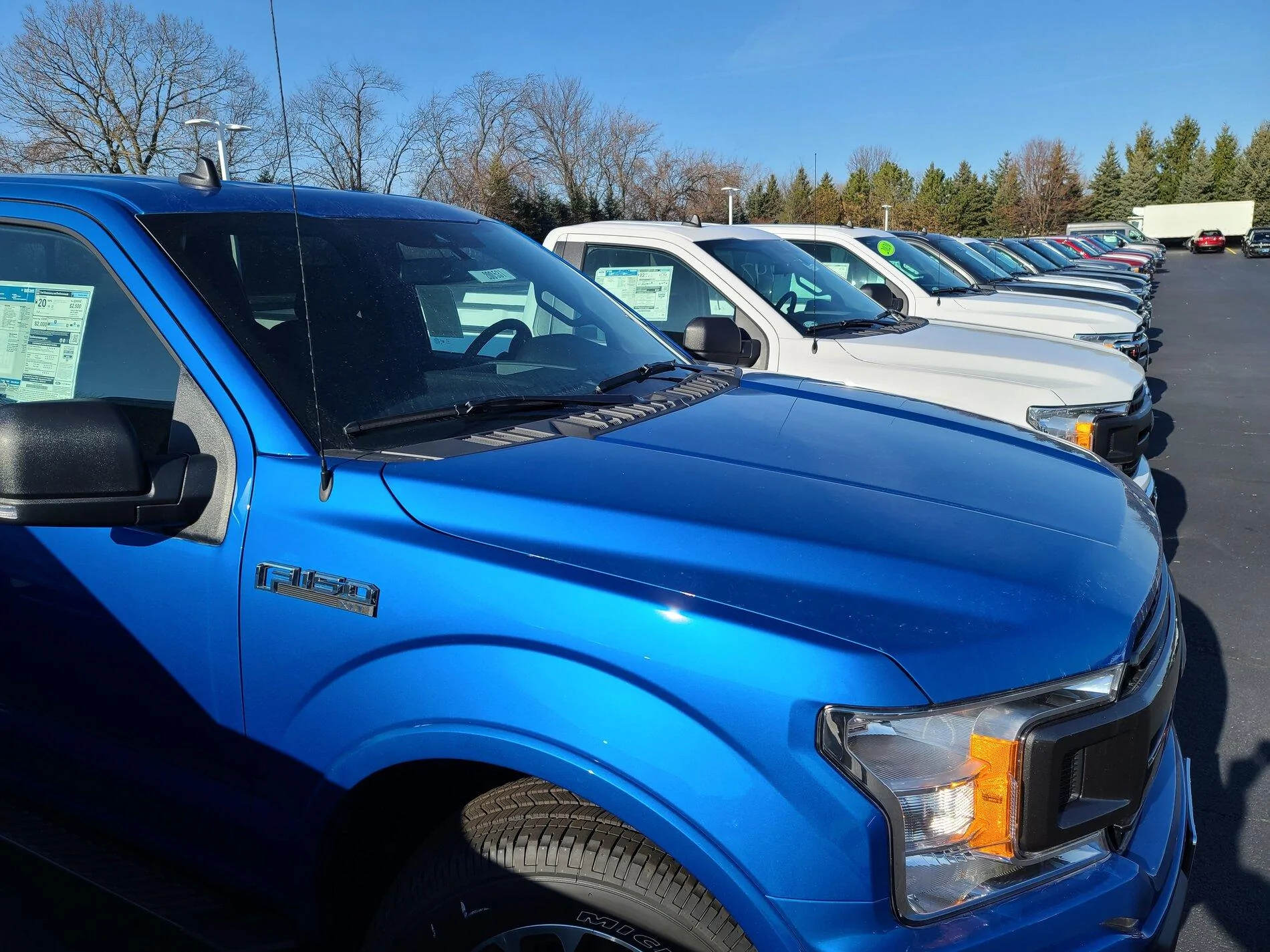 Ford Bronco Velocity Blue Metallic thread 20201210_121756