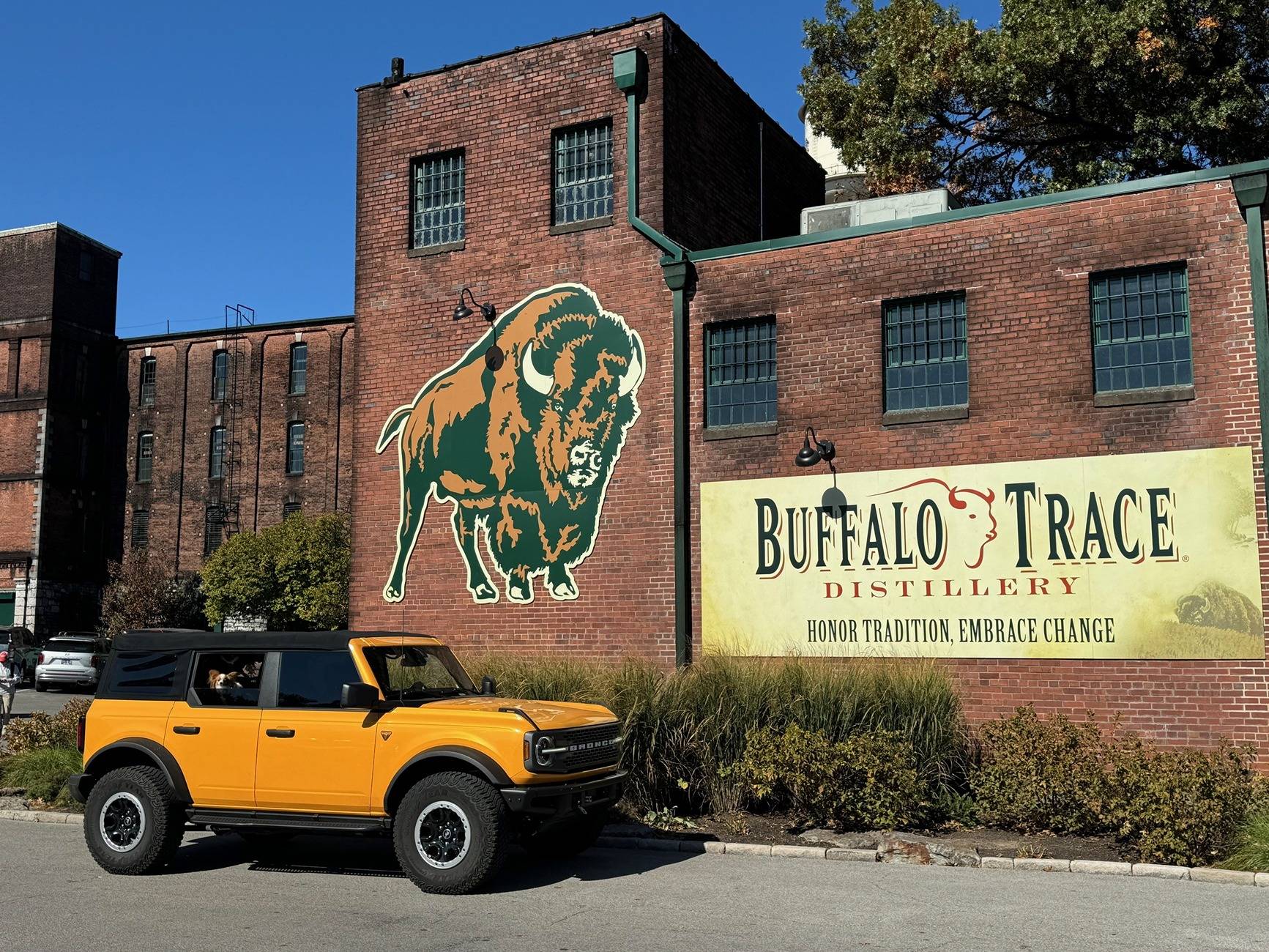Ford Bronco Mural Monday! BTD