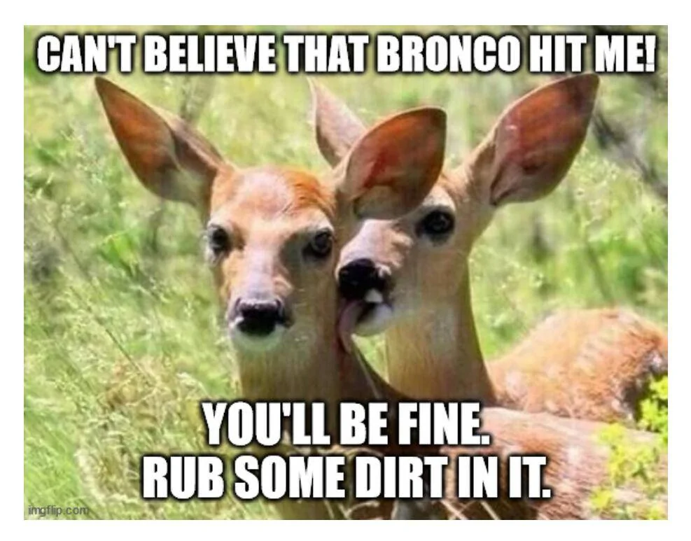Ford Bronco Hit Deer Need Advice PoorDeer