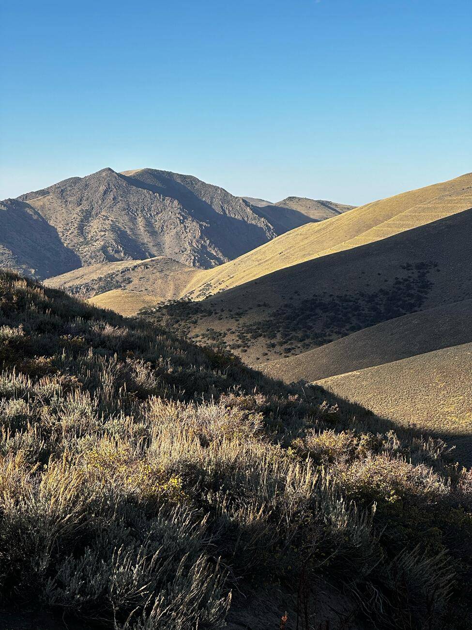 Ford Bronco Pony Express Trail Nevada: 8 days, 2200 miles total (550 off-road), 1 Recovery IMG_6037