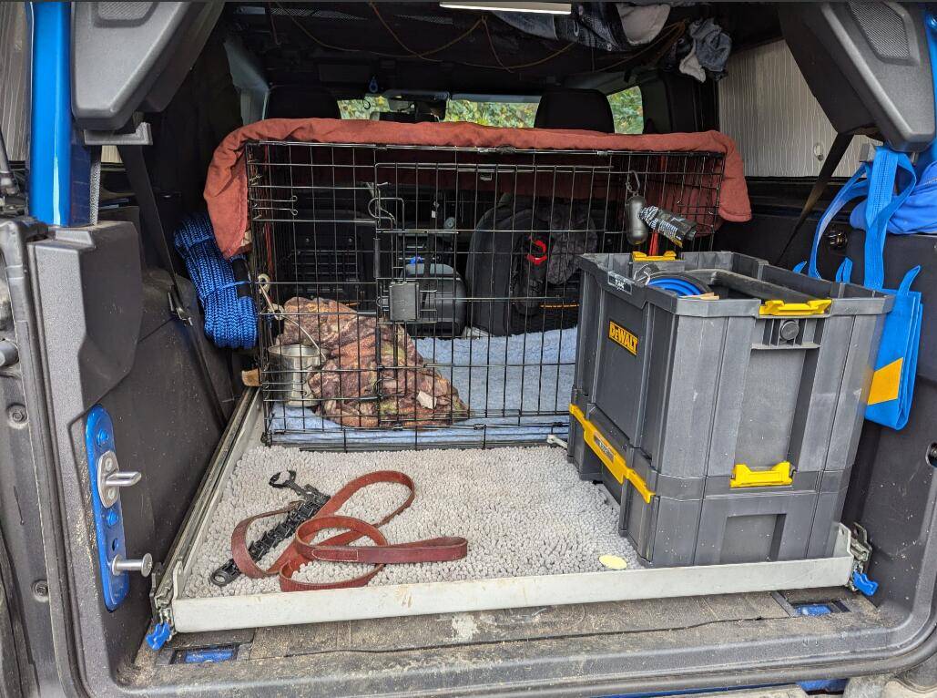 Ford Bronco What are we doing for our pets? Show your setup 1733005452098-in