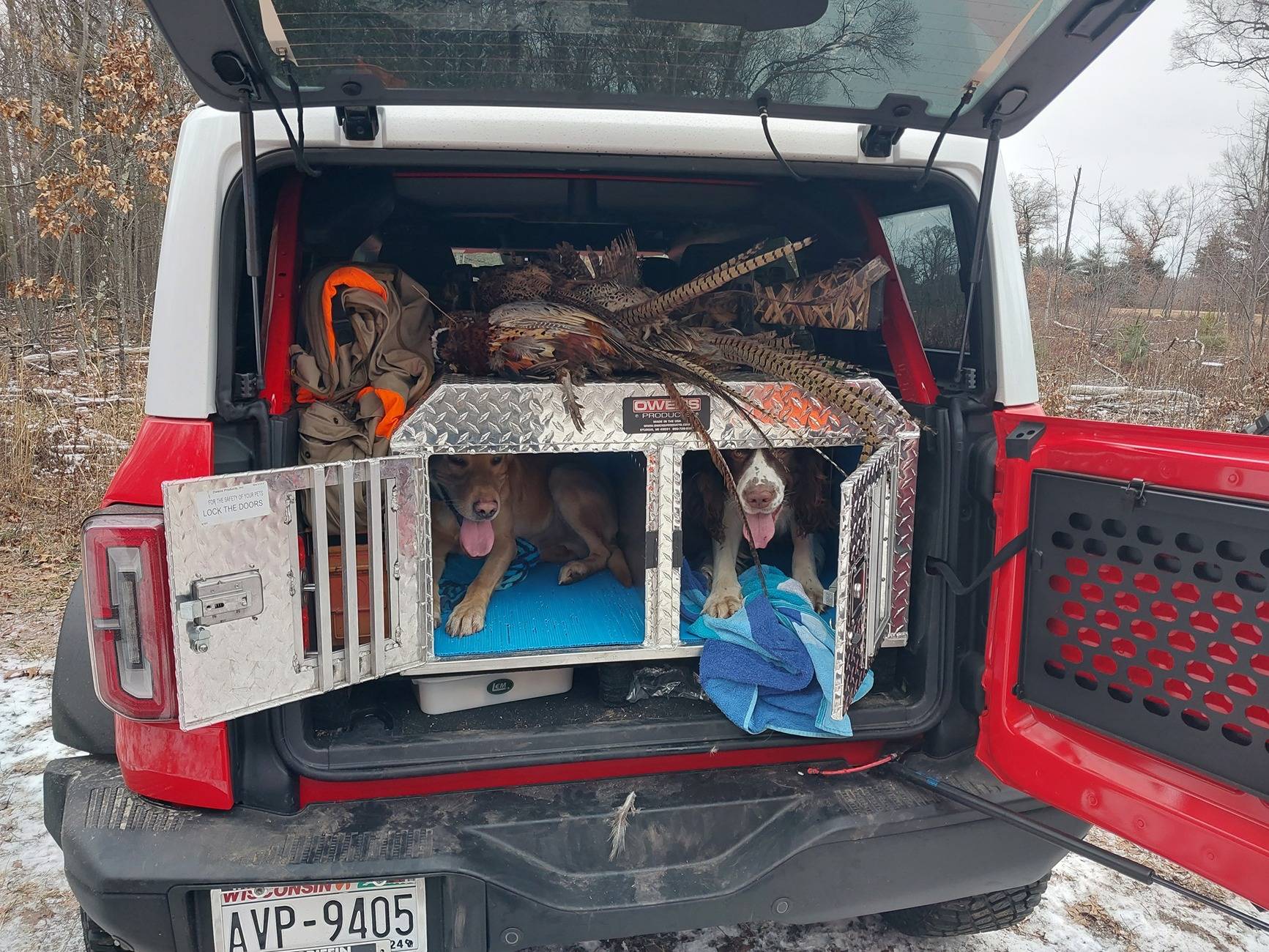 Ford Bronco What are we doing for our pets? Show your setup 20240101_101156
