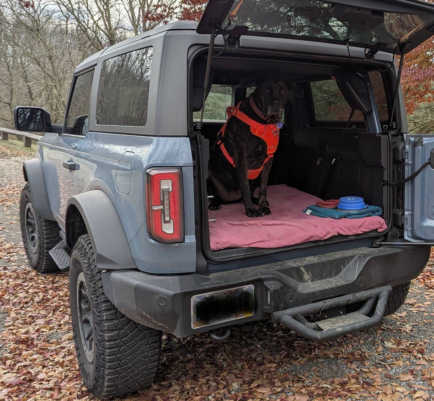 Ford Bronco What are we doing for our pets? Show your setup PXL_20241202_184149789~2