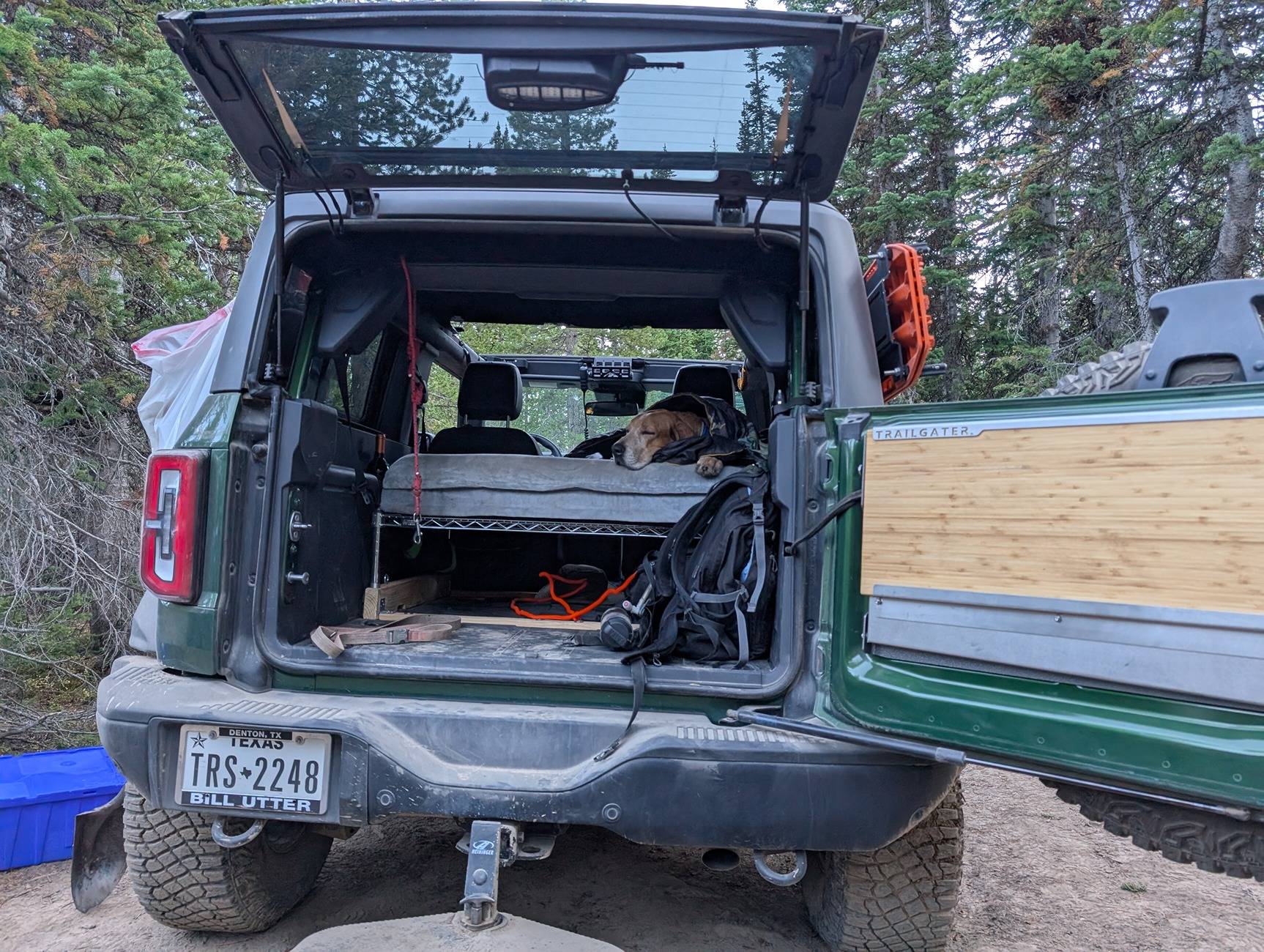 Ford Bronco What are we doing for our pets? Show your setup PXL_20240928_234712896