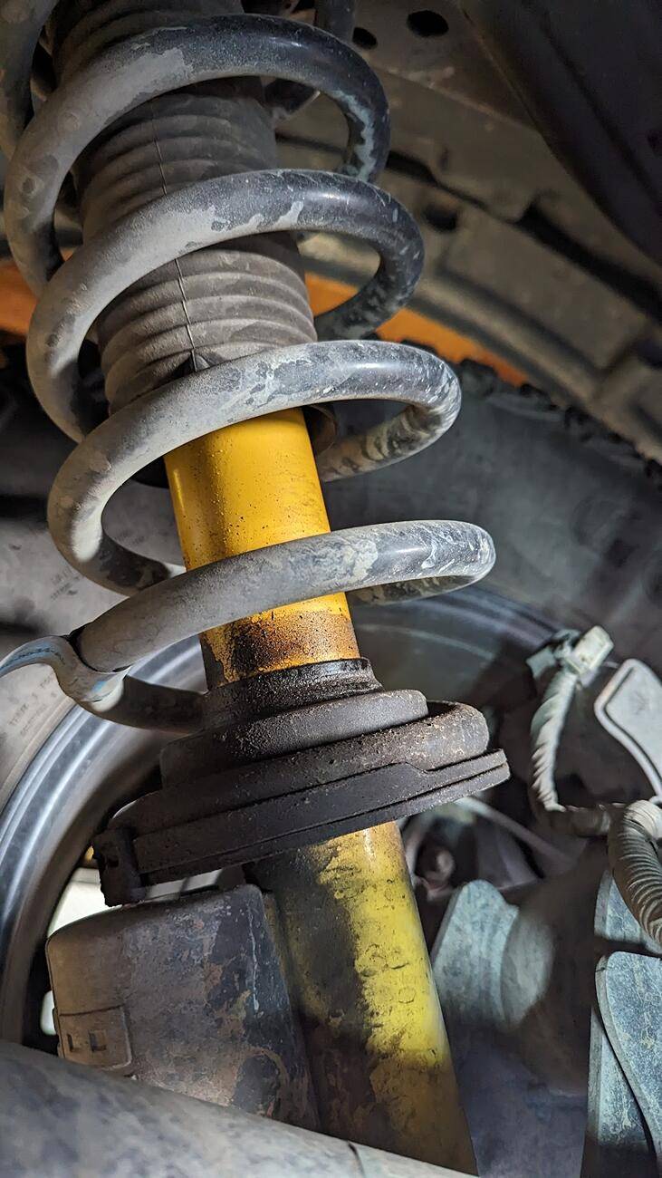 Ford Bronco Shocks after 25k miles - leaking or corroded 1733418783180-n6