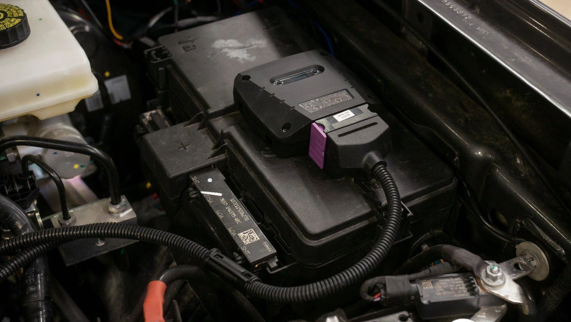 Ford Bronco The Panda Power Module is HERE! Bronco Raptor 3.0L Tuning Solution by Panda Motorworks! IMG_1022
