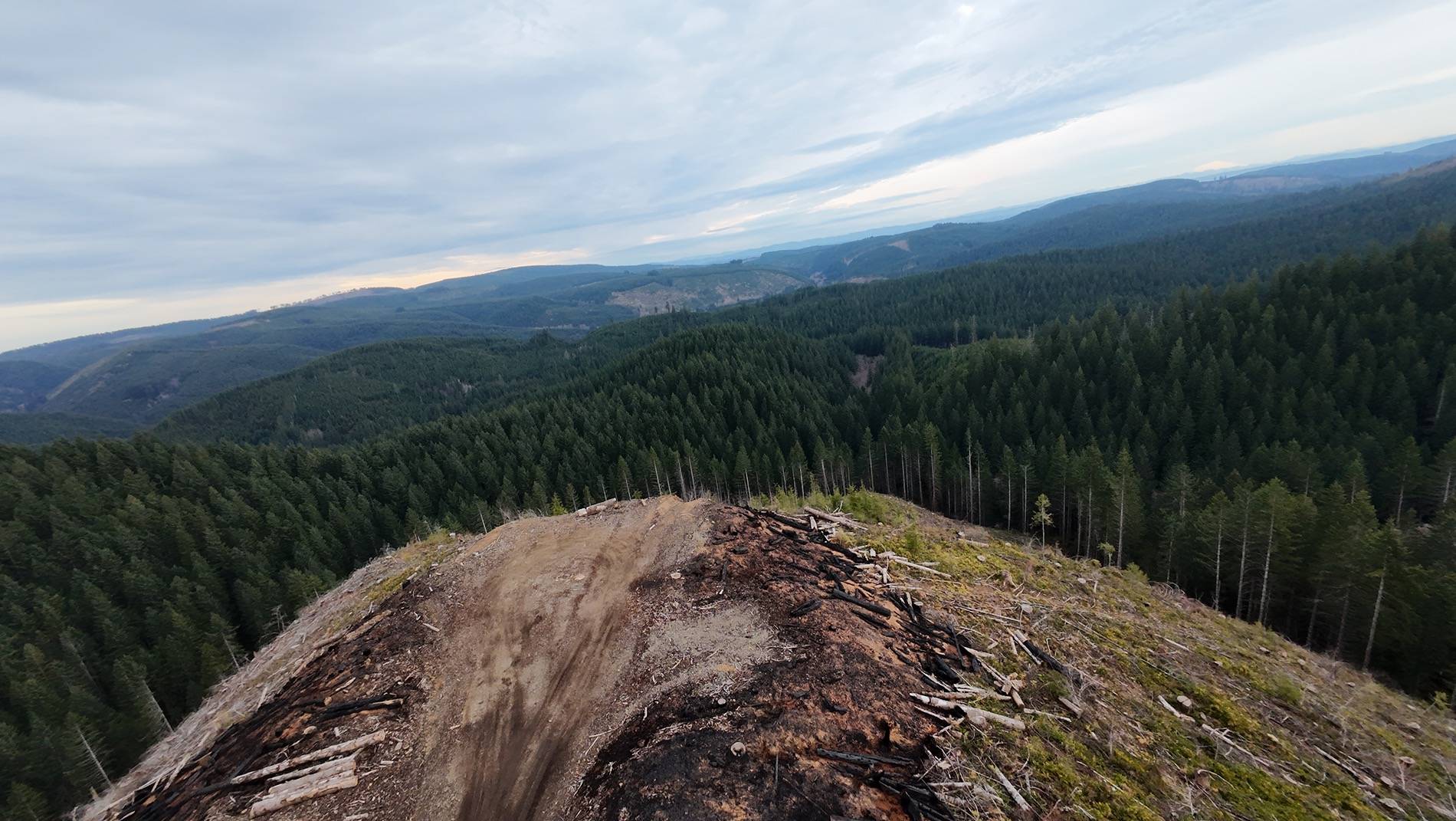 Ford Bronco Exploring the Tillamook Forest dji_fly_20241202_185518_0044_1733539456479_photo