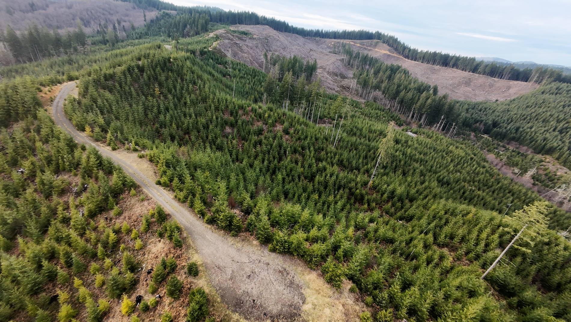 Ford Bronco Exploring the Tillamook Forest dji_fly_20241202_180536_0037_1733539458541_photo