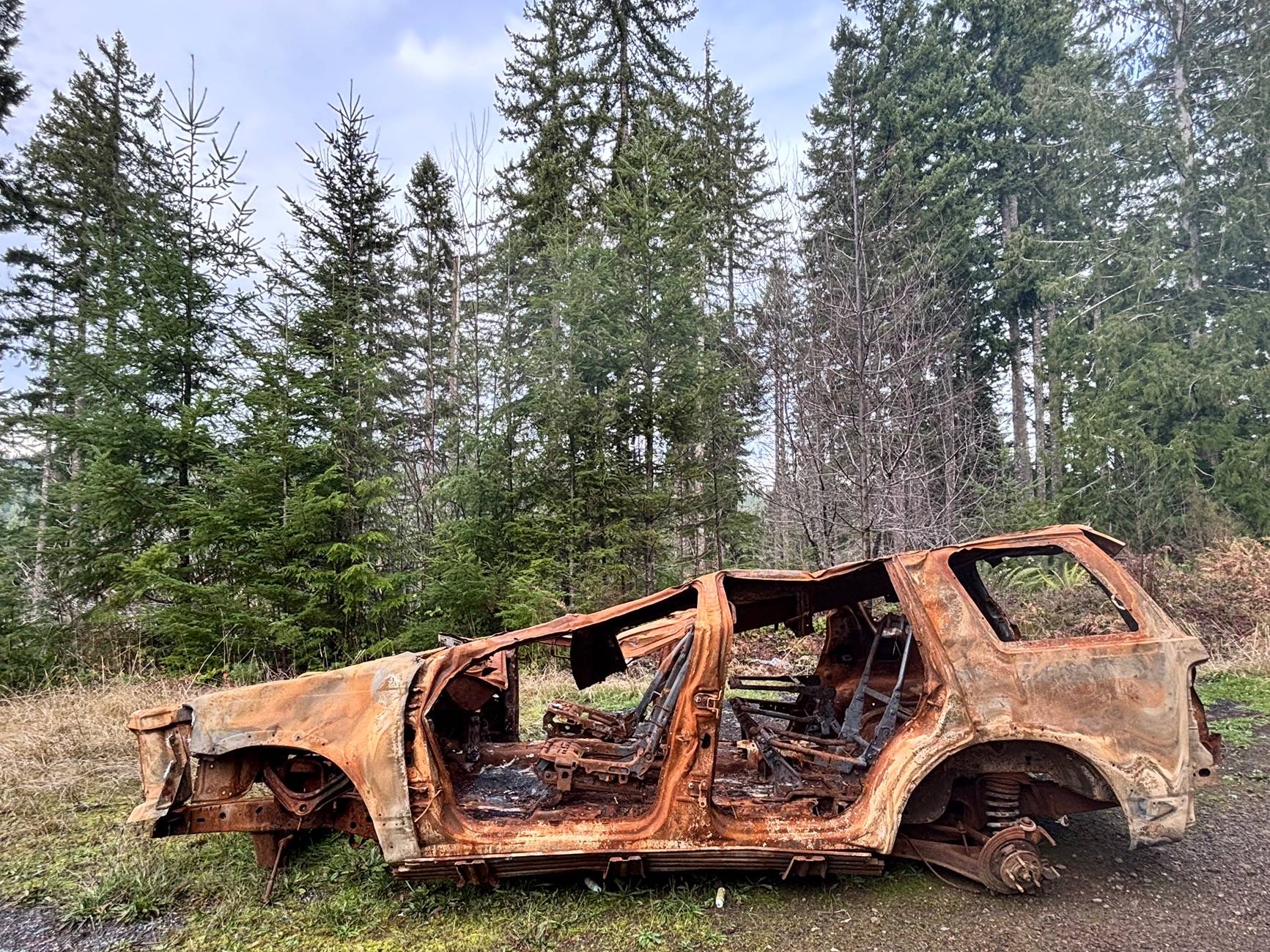 Ford Bronco Exploring the Tillamook Forest IMG_3630