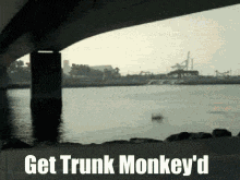 Ford Bronco Porch pirate Bronco driver trunk-monkey