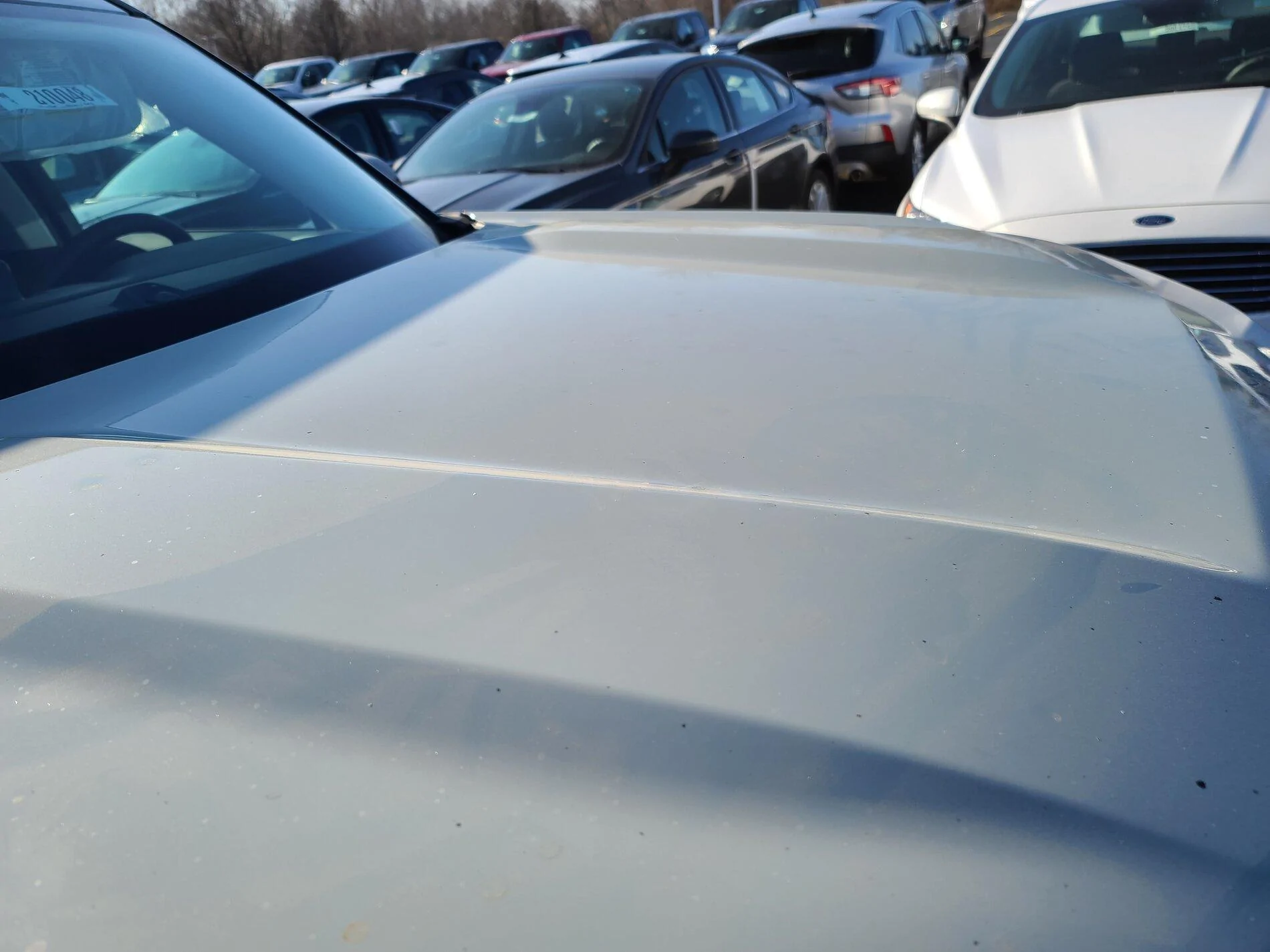 Ford Bronco ? Cactus Gray WildTrak 4 Door Bronco 20201210_121137