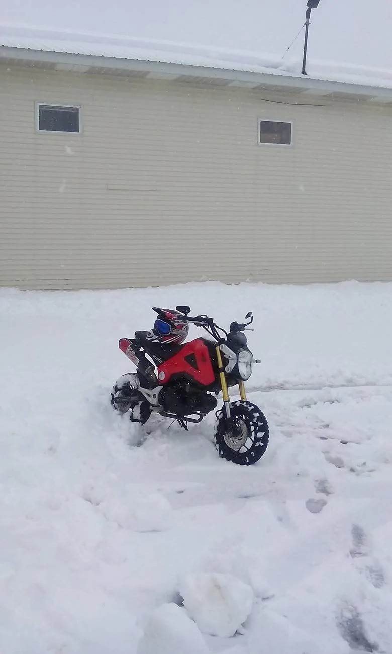 Ford Bronco Do I need snow tires ? 1000000198