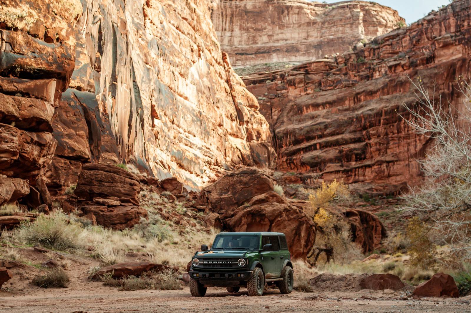 Ford Bronco Moab Trip Photos - Thanksgiving '24 DSC_8711-Enhanced-SR (Custom)