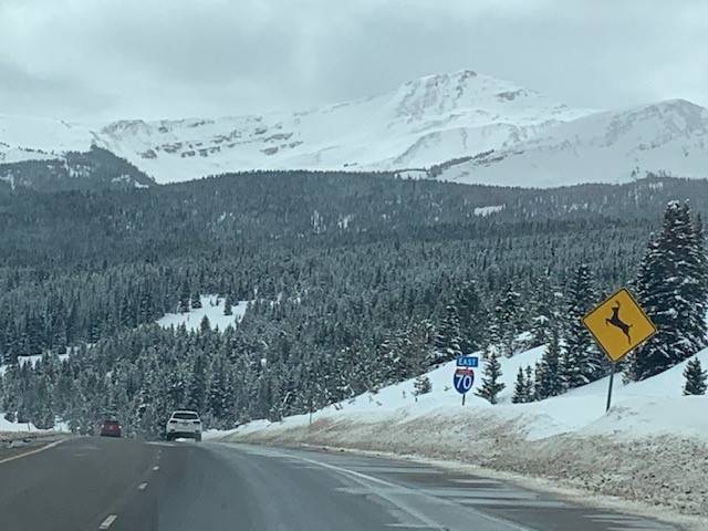 Ford Bronco POV: The View That Makes Every Step Worth It Rocky Mtns, Vail, CO