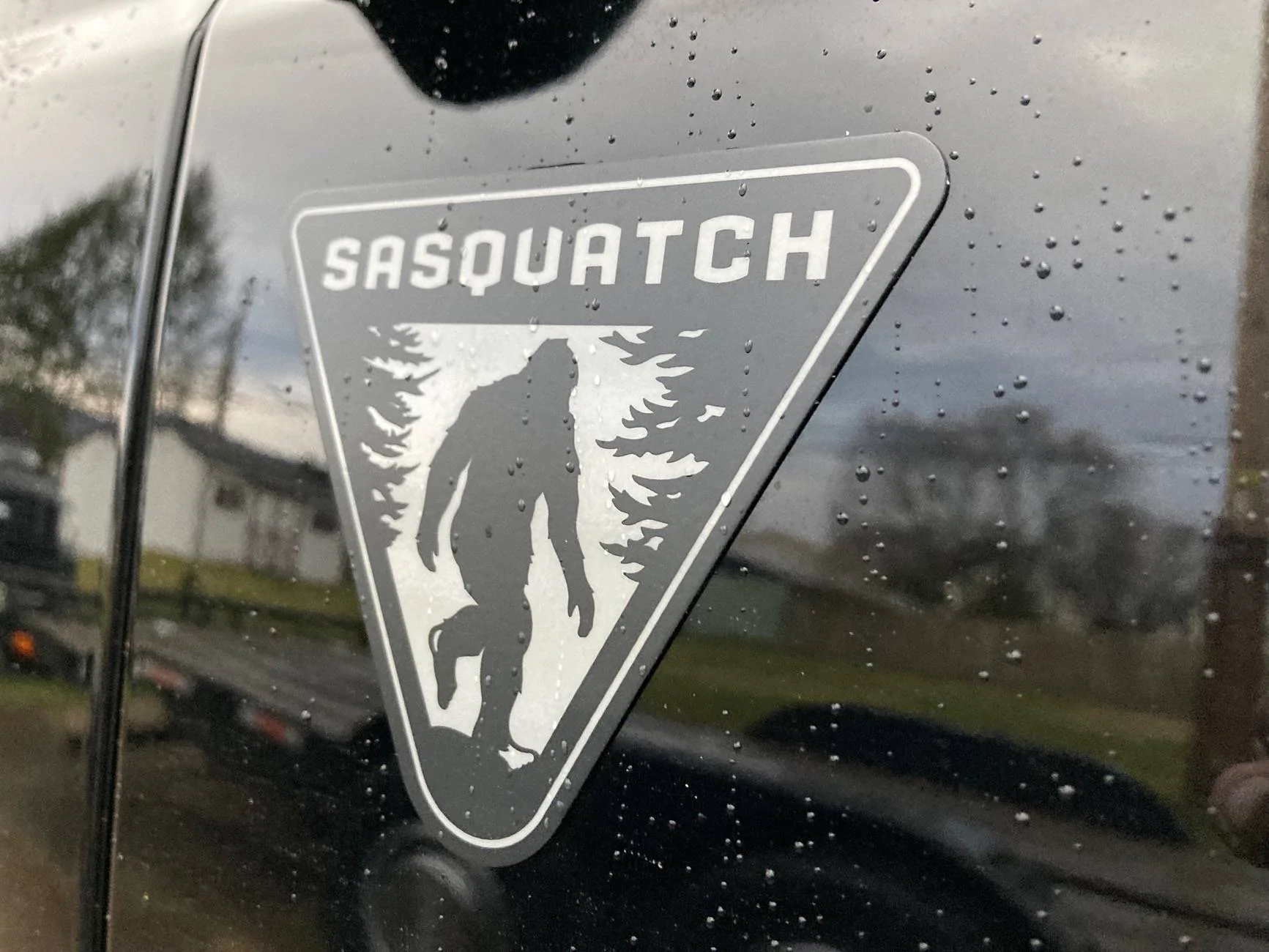 Ford Bronco Fender sticker(s) emblem IMG_0332