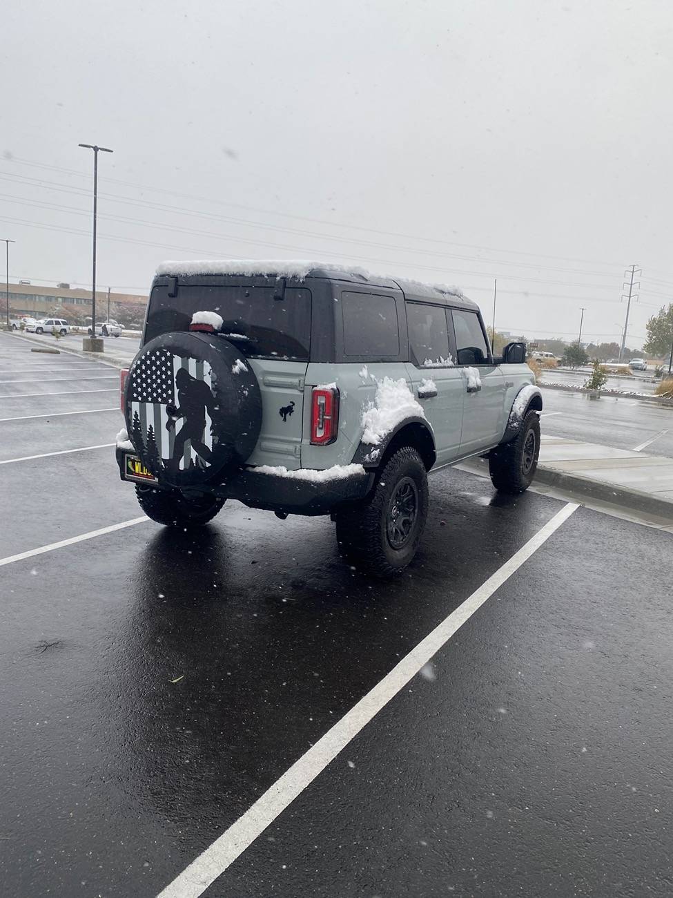 Ford Bronco Shadow Black Hardtop Pics IMG_4222