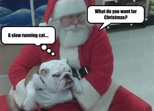 Ford Bronco Merry Christmas  Happy Hanukkah  Everyone 1-funny-english-bulldog-christmas-mem