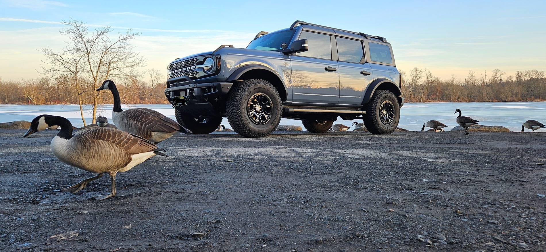 Ford Bronco Bringing my Bronco to 'Next Level' enjoyment 20241228_141237