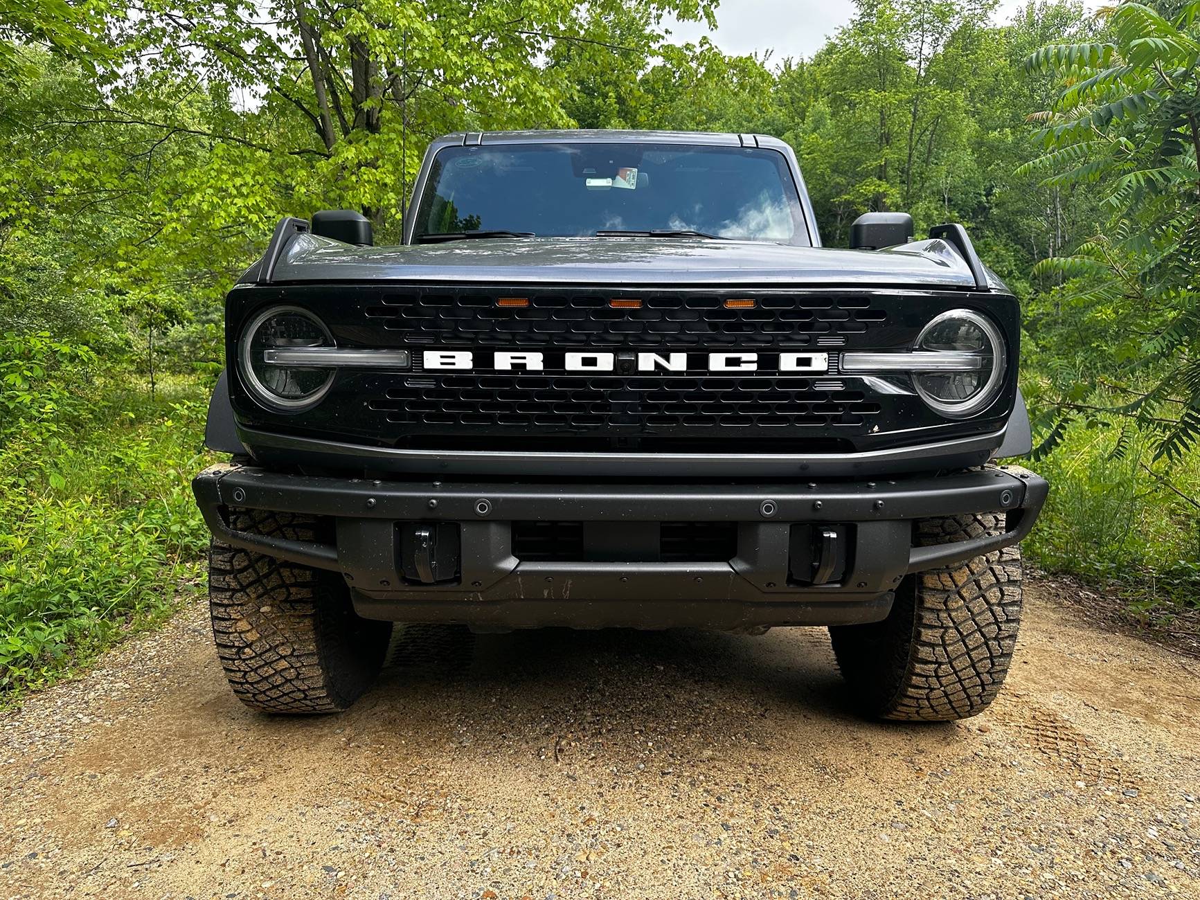Ford Bronco Bronco Raptor replacement grille (WILDTRAK) IMG_0274