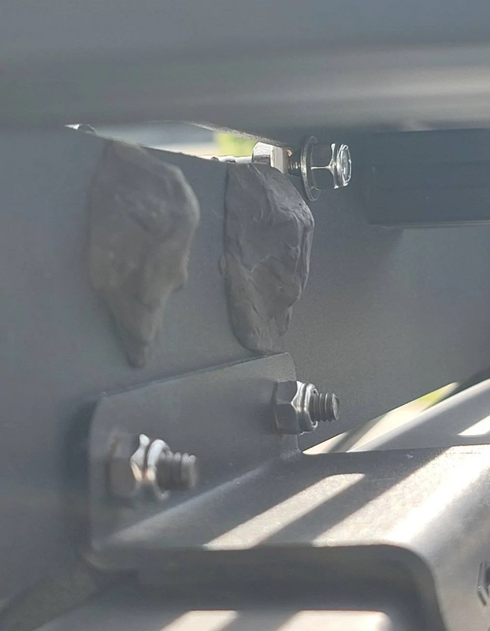 Ford Bronco Trailrax Clamp and Foam Question SmartSelect_20250119_112144_Gallery