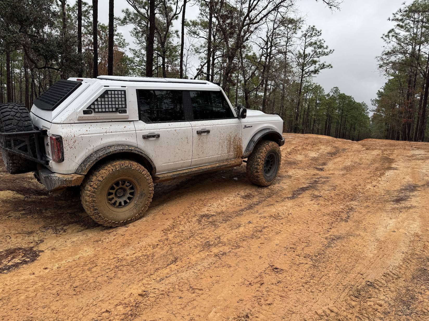Ford Bronco Armadillo Designs Aluminum Hardtop 1737398837978-e