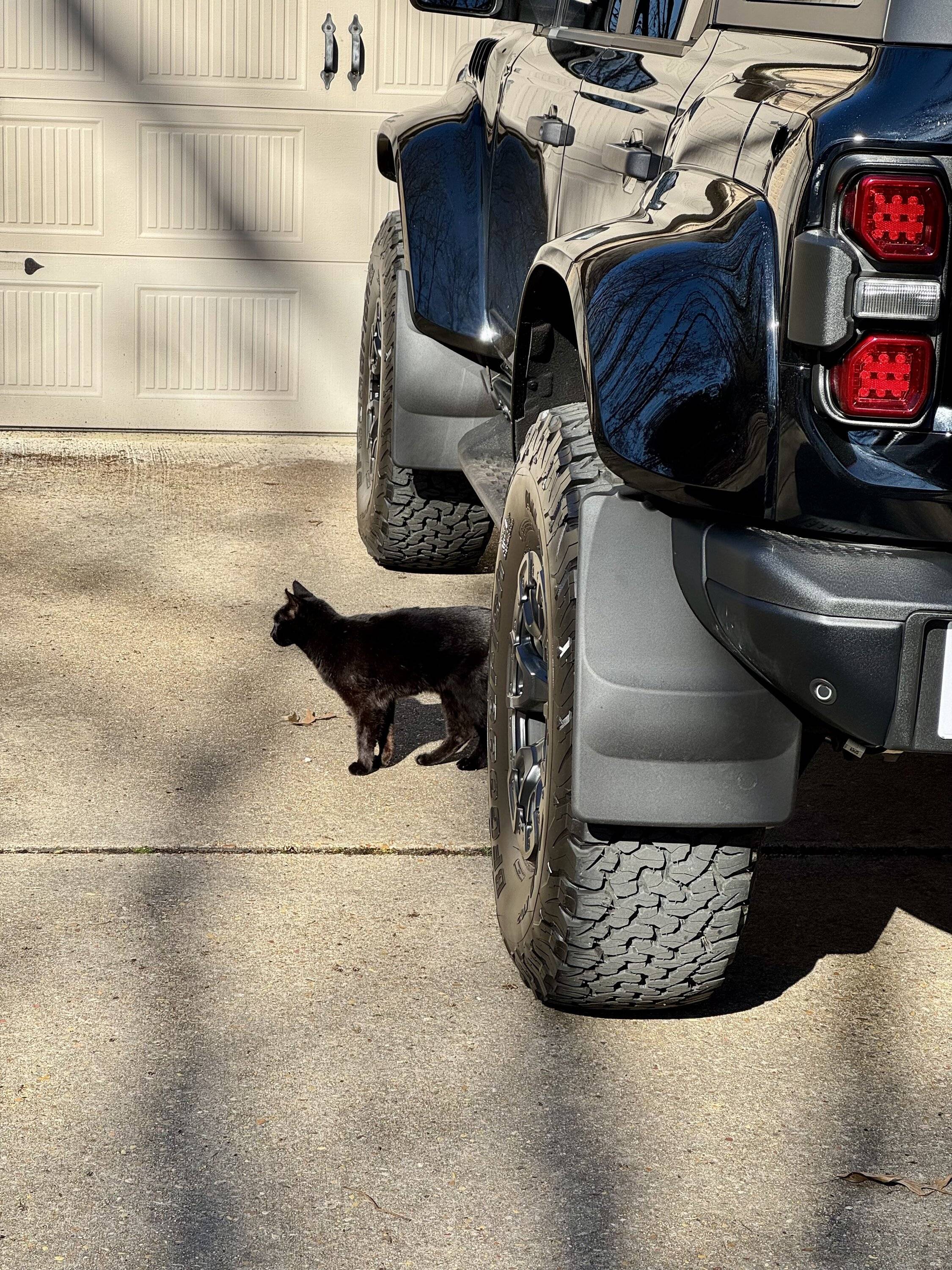 Ford Bronco Weathertech mudflaps installed on 2024 Bronco Raptor IMG_6636