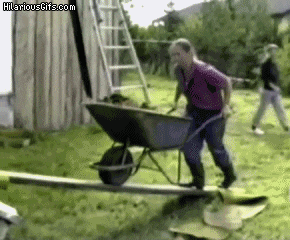 Ford Bronco post funny gifs here (safe for work only) giphy (27)
