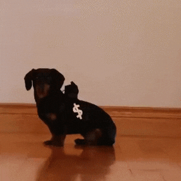 Ford Bronco post funny gifs here (safe for work only) giphy (22)