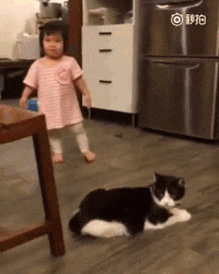 Ford Bronco post funny gifs here (safe for work only) giphy (21)