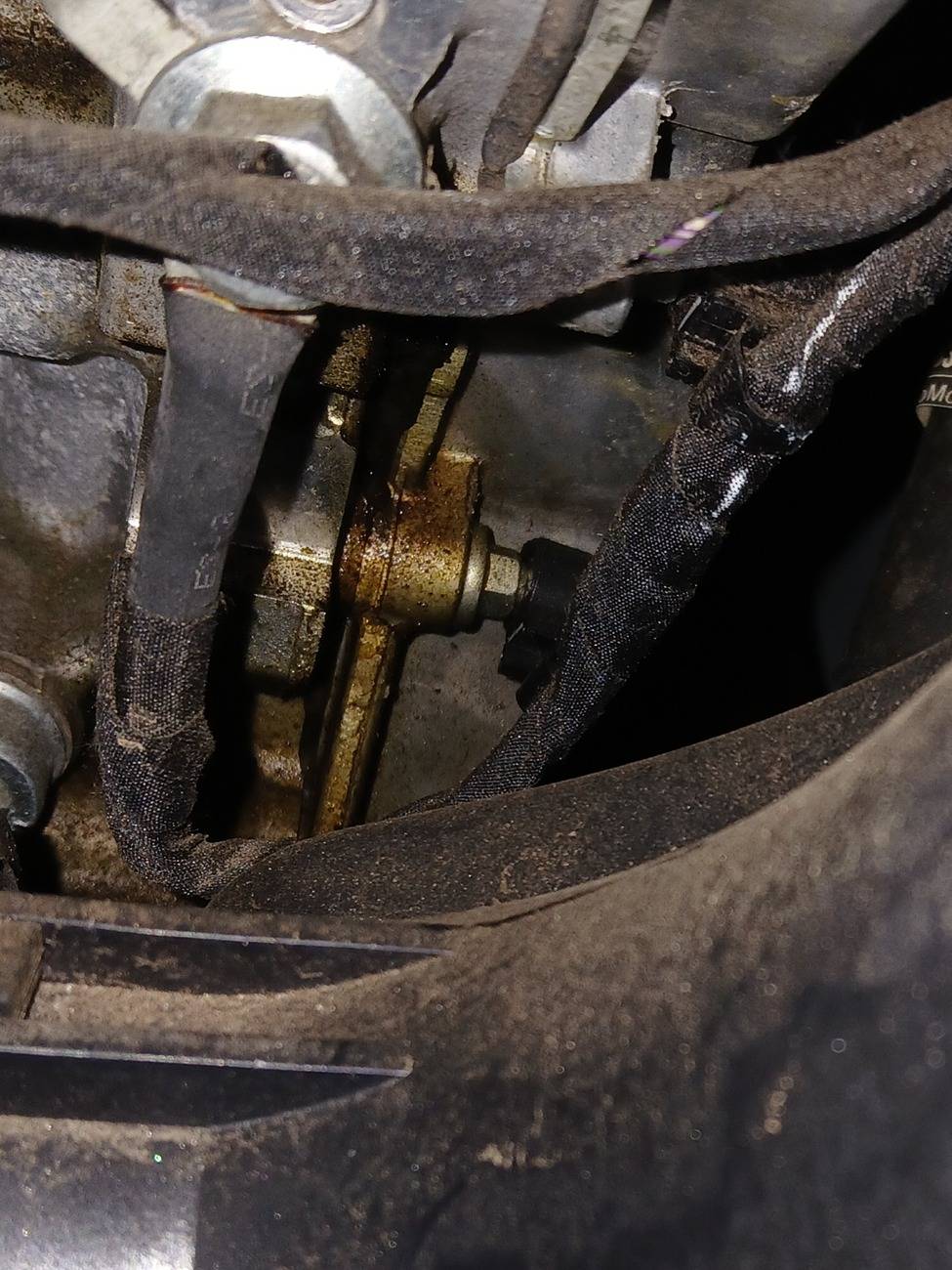 Ford Bronco 2.3 engine oil leak 29k miles 1000001721