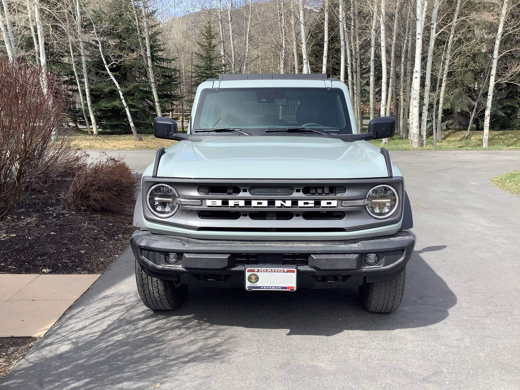 Ford Bronco UPR grille letters IMG_0044