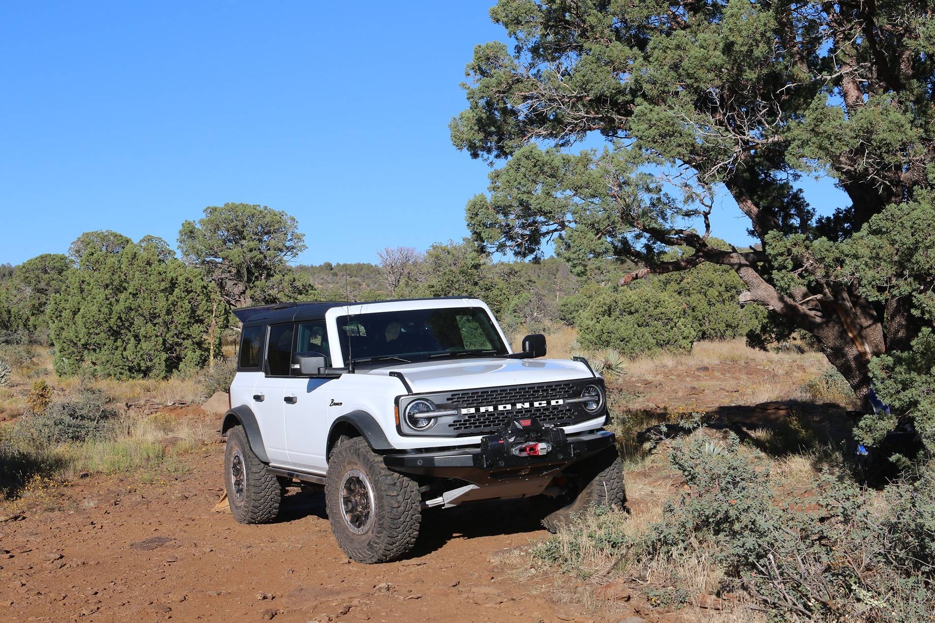 Ford Bronco 2-door versus Not Broncos Q98A4394.JPG