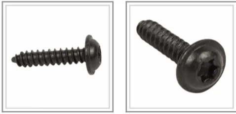 Ford Bronco Accessory Port Screw Part#? IMG_6604