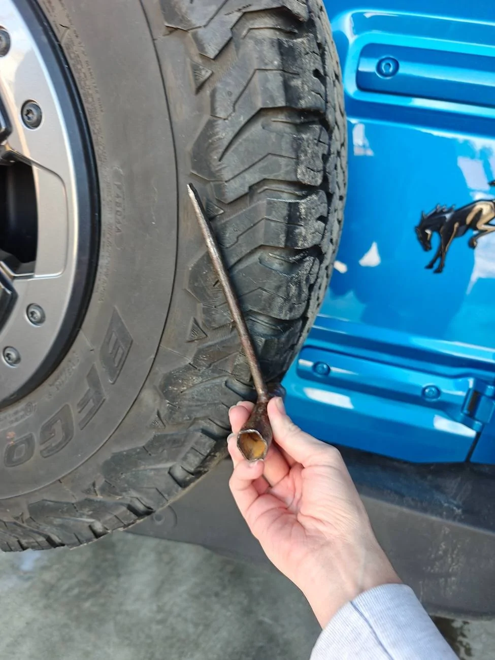 Ford Bronco Jazer's Blu Pony IMG20250222134803