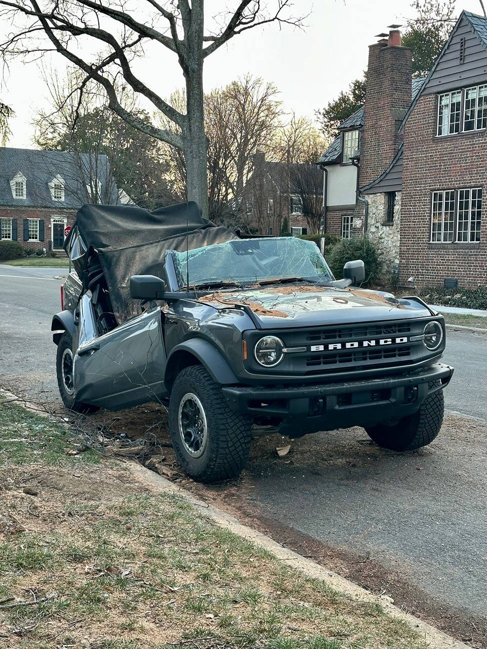 Ford Bronco LARGE Tree vs Bronco IMG_8226
