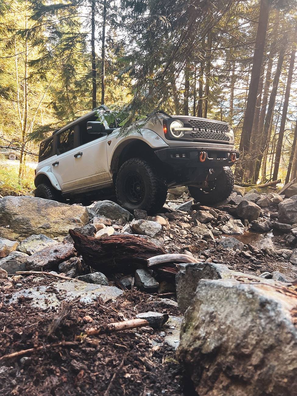 Ford Bronco Rough Country hidden winch IMG_0003