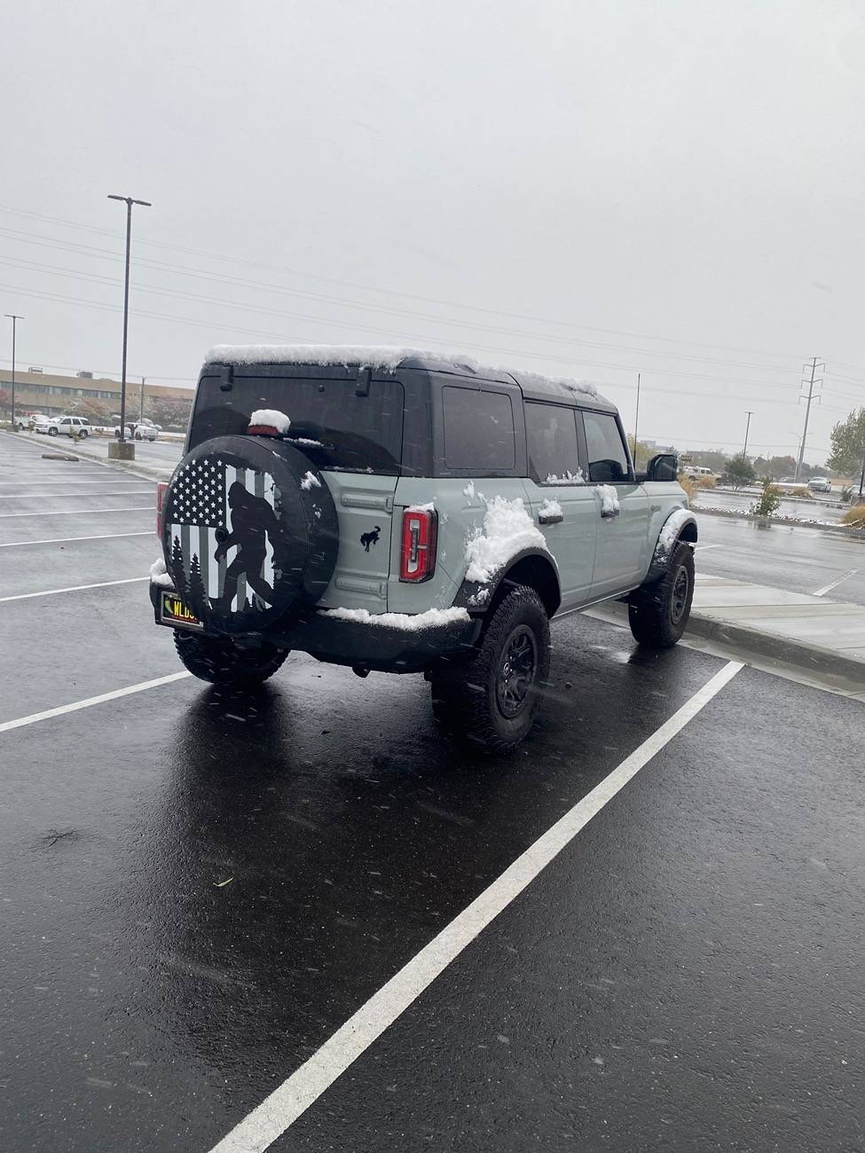 Ford Bronco Spare Tire Covers -- post yours IMG_4221