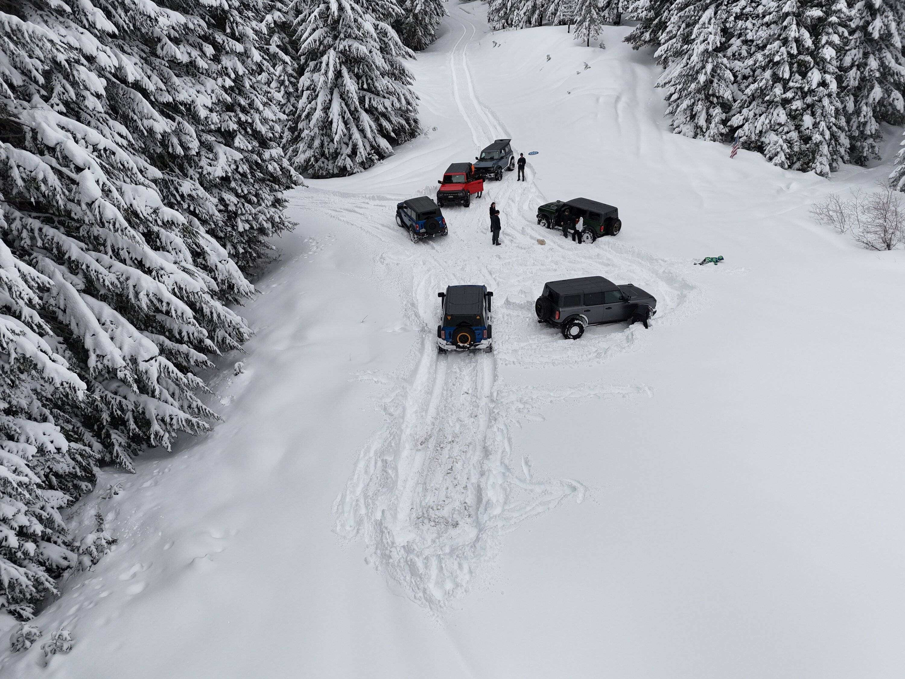 dji_fly_20250316_125500_0154_1742232563144_photo.jpeg