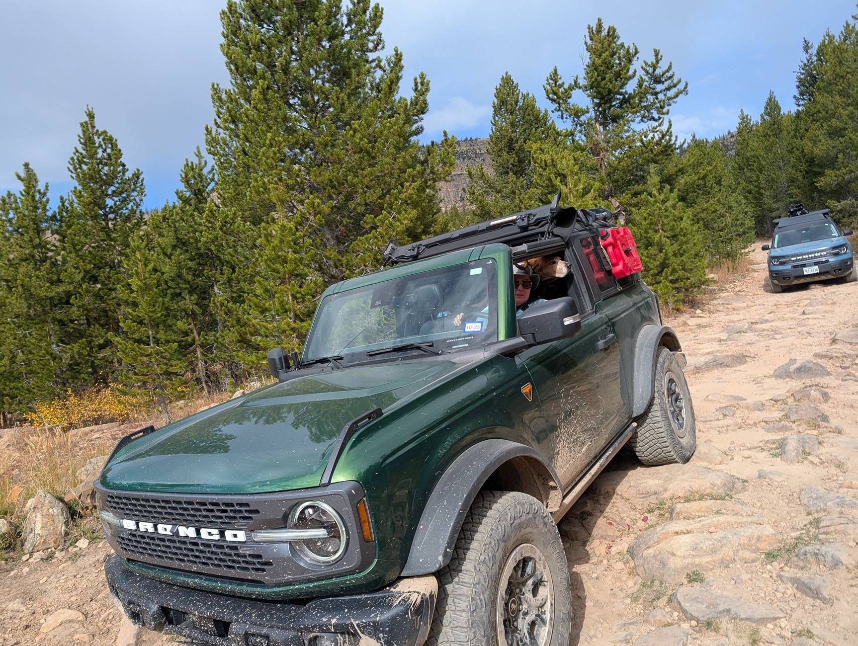 Ford Bronco My Bronco Stable is Complete PXL_20240929_170629344