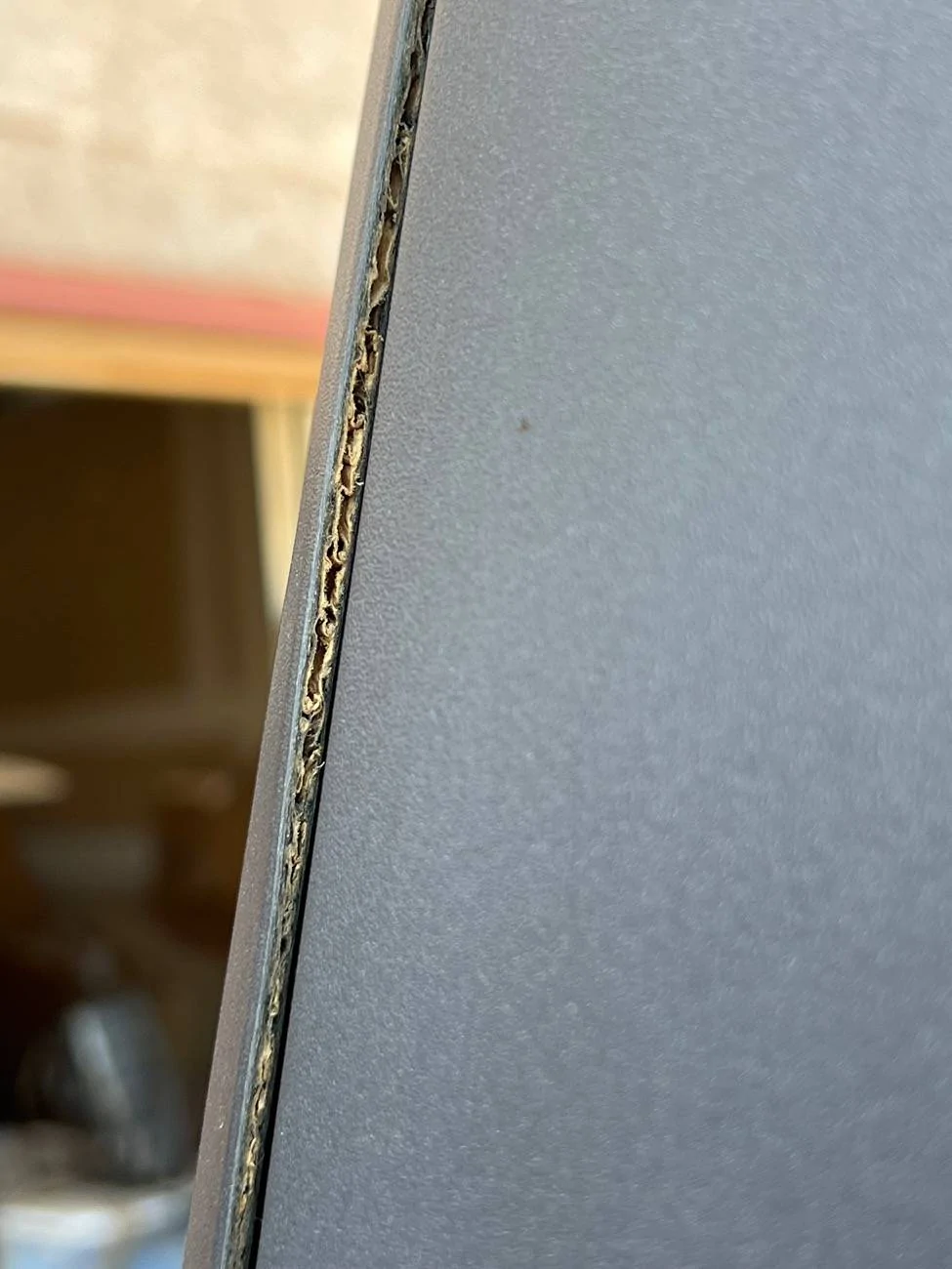 Ford Bronco 2025 MIC Top Question IMG_7677