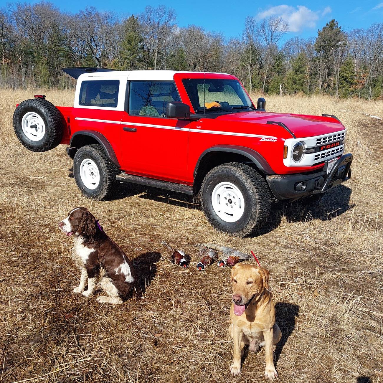 Ford Bronco 🐾 Show Us Your Dog + Bronco Photos! 20250225_105005