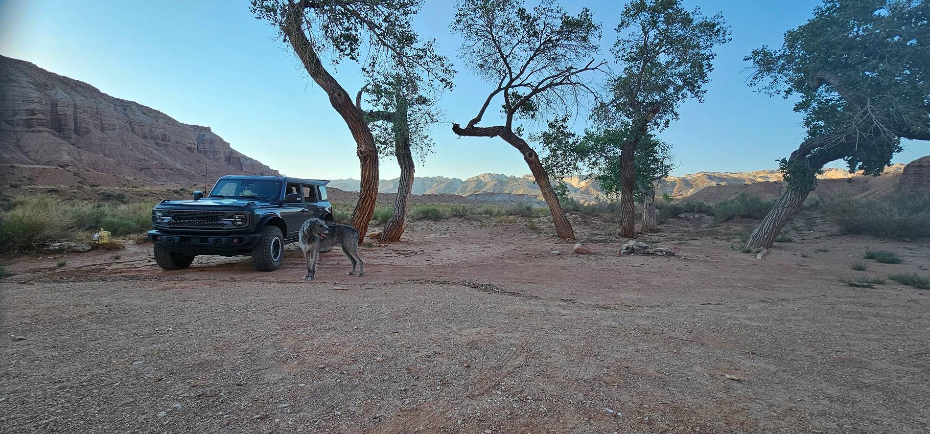 Ford Bronco 🐾 Show Us Your Dog + Bronco Photos! 20240905_184652