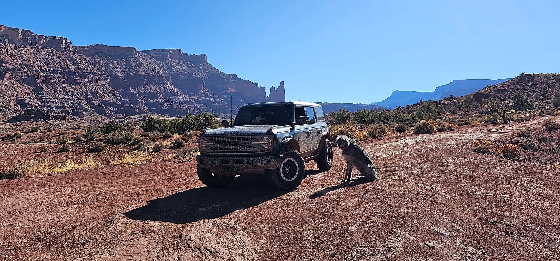 Ford Bronco 🐾 Show Us Your Dog + Bronco Photos! 20231030_114417